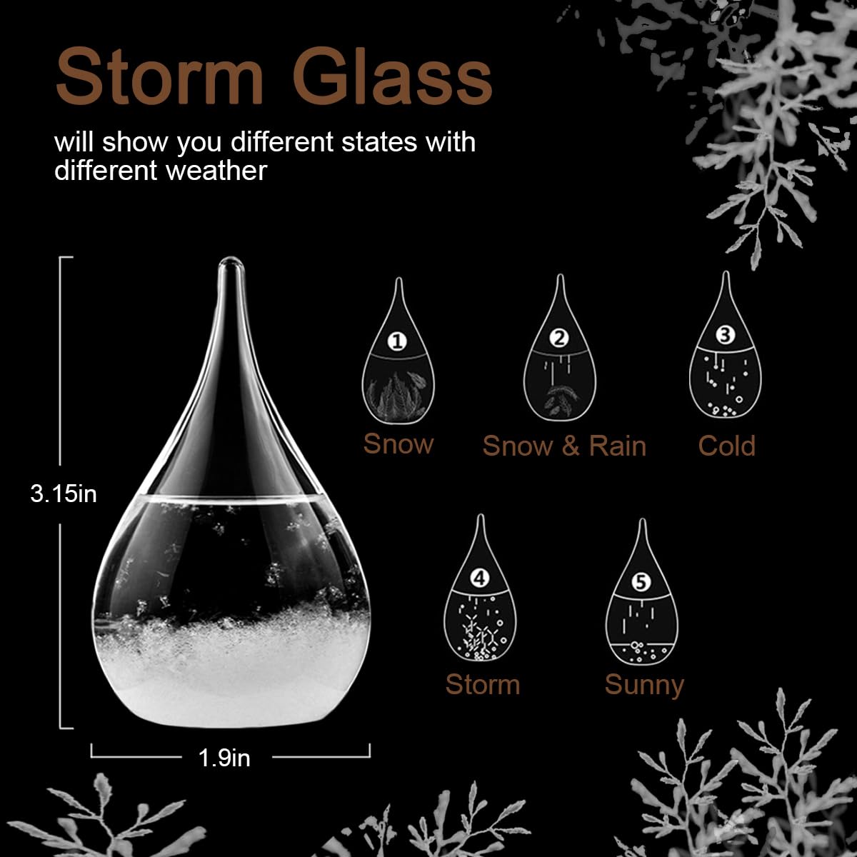 Unique Christmas Gifts, Storm Glass Weather Predictor，Mini Transparent Drop-Shaped Glass Snow Globe,Cool GIFS and Home/Office Desk Decorations