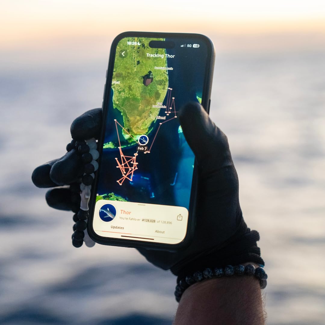 Fahlo Shark Tracking Bracelet – Track a Real Shark's Journey – Supports Wildlife Conservation – Elastic – on Interactive Mobile App Map – Unisex Ocean Conservation Gift
