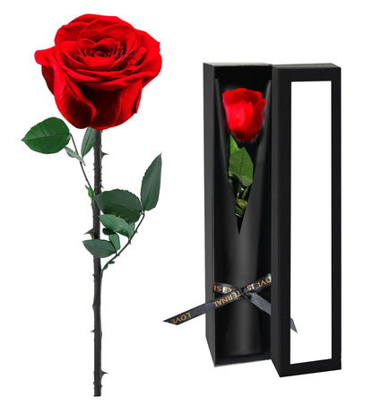 Preserved Flowers for Delivery,Red Rose Bouquets That Last 5 Years,Birthday Flowers Gifts for Women Mom Grandma Wife Friends,Mothers Day Roses Gift,Romantic Floral for Anniversary or Valentine’s Day