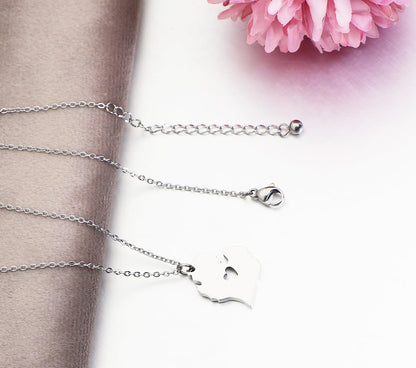 Stainless Steel State Map Pendant Necklace Country Map Necklace Going Away Gift for Best Friend Traveling Keepsake State Pride