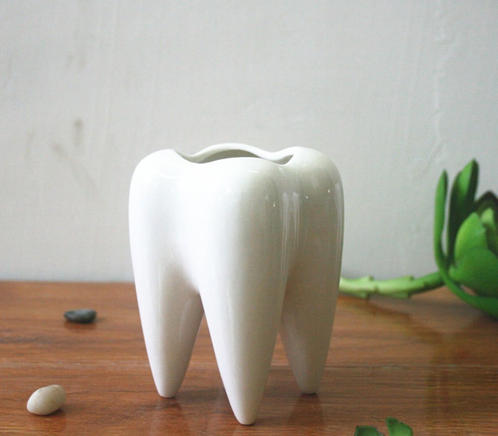 Ceramic Tooth Shaped Pen Pencil Toothbrush Holder Pot Succulent Plant Pot Home Office School Dentists Gift Ideal Gifts for Women, Mom or Birthdays