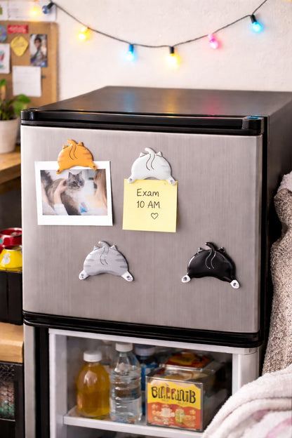 Pearhead Cat Bum Kitchen Magnets, Pet Themed Refrigerator Magnets, Funny Novelty Gift for Cat Lovers and Pet Parents, Ideal Decor for Home, School Locker and Office Whiteboard, Set of 4