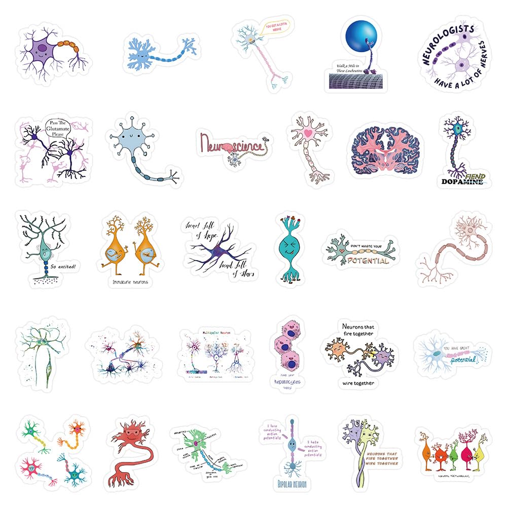 54 Pcs Neuron Stickers, Science Brain Cell Themed Stickers with Sizes 1.3-3 Inches, Waterproof Vinyl Stickers for Laptop Water Bottle Notebook, Educational Sticker for Science Lovers Kids Adults
