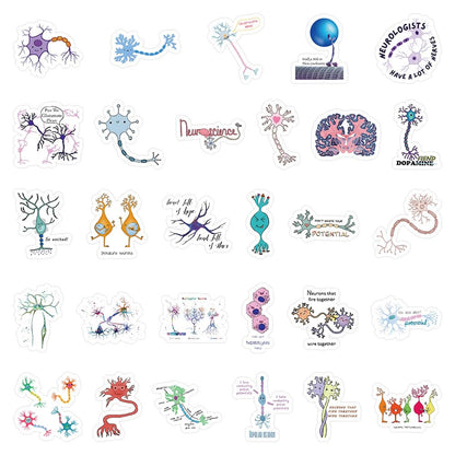 54 Pcs Neuron Stickers, Science Brain Cell Themed Stickers with Sizes 1.3-3 Inches, Waterproof Vinyl Stickers for Laptop Water Bottle Notebook, Educational Sticker for Science Lovers Kids Adults