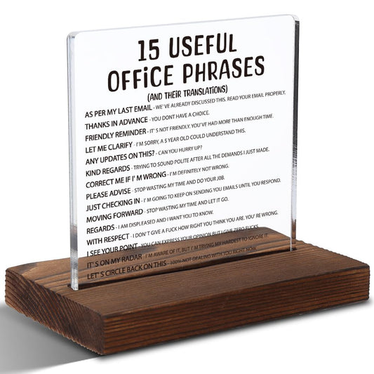 Silly Office Gifts for Women, Humorous Office Gifts for Coworkers, Managers, Sarcastic Office Gift for Coworkers, Managers,Modern Acrylic Desk Plaque, 10 x 10 x 1.5 cm,XXD63