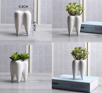 Ceramic Tooth Shaped Pen Pencil Toothbrush Holder Pot Succulent Plant Pot Home Office School Dentists Gift Ideal Gifts for Women, Mom or Birthdays
