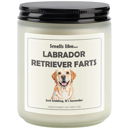 Labrador Retriever Decor, Labrador Retriever Gifts, Dog Fart Candle | Lavender Scent, Handcrafted with Natural Soy Wax