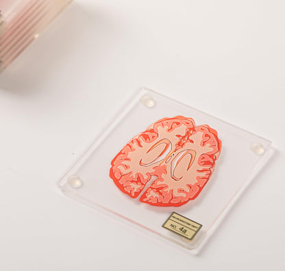 (10pieces) 3D Anatomic Brain Specimen Coasters-Acrylic Coasters-Neuroscience Gifts-Funny 3D Coasters Gifts-Medical Student Gifts- Brain Decor-Lab Coaster for Desk