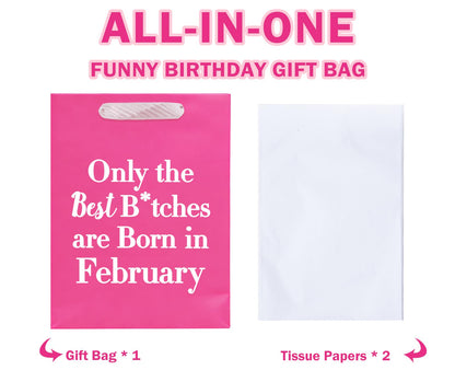 WRAPAHOLIC 13" Large Funny Birthday Month Gift Bag with Tissue Paper - Best Bitches Born in February Humor Bday Gift Bags for Women Best Friends Birthday