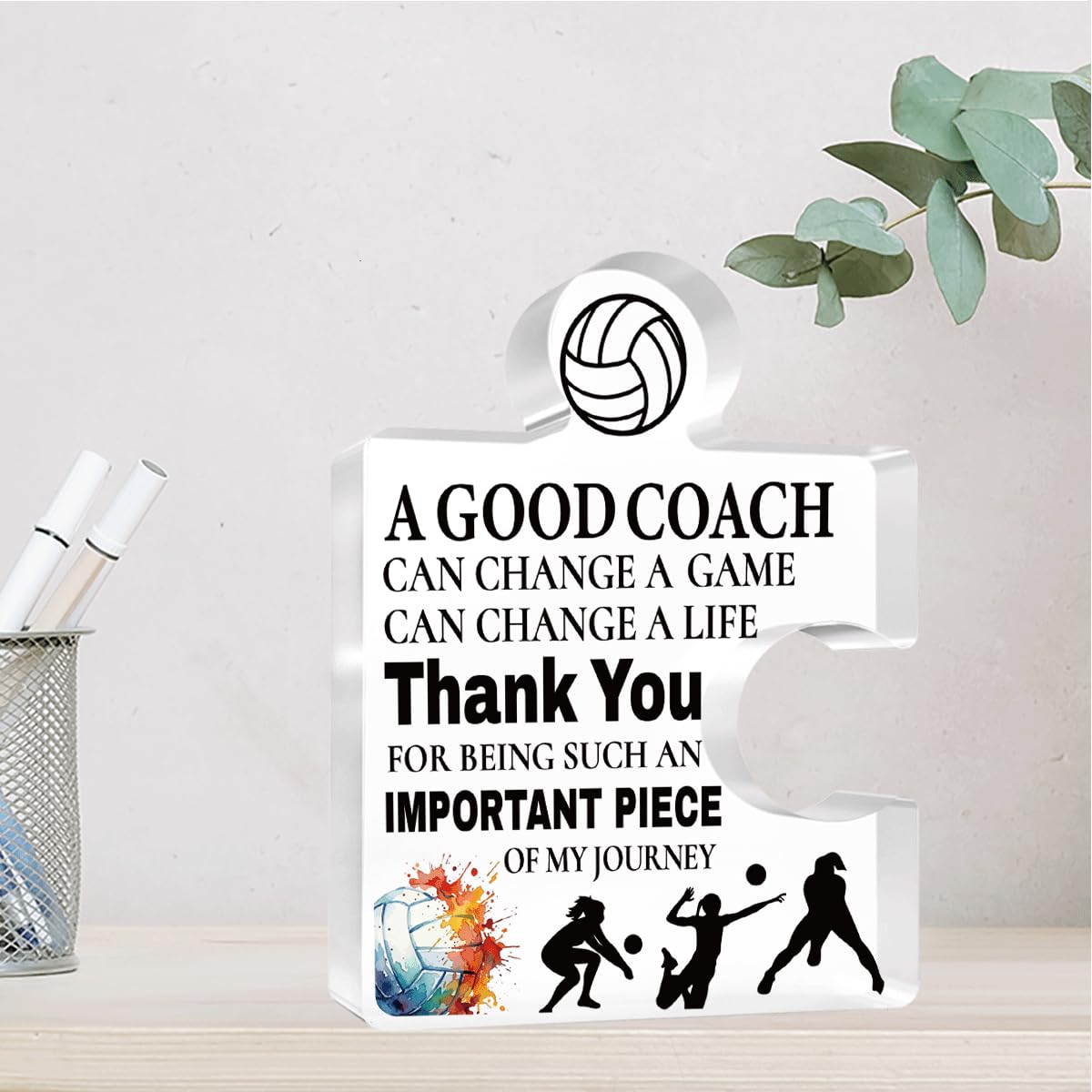 Inspirational Coach Thank You Appreciation Gifts Thank you for Being Such an Important Piece of my journey Acrylic Puzzle Volleyball Coach Gifts for Home Office Desk Table Decor