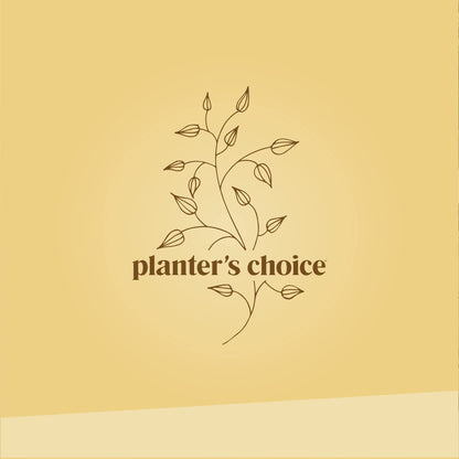 Bonsai Starter Kit - Gardening Birthday Gifts for Women & Men - Bonsai Tree Growing Garden Crafts Hobby Kits for Adults, Unique DIY Hobbies for Plant Lovers - Unusual Gifts Ideas Mom, Her, Friend