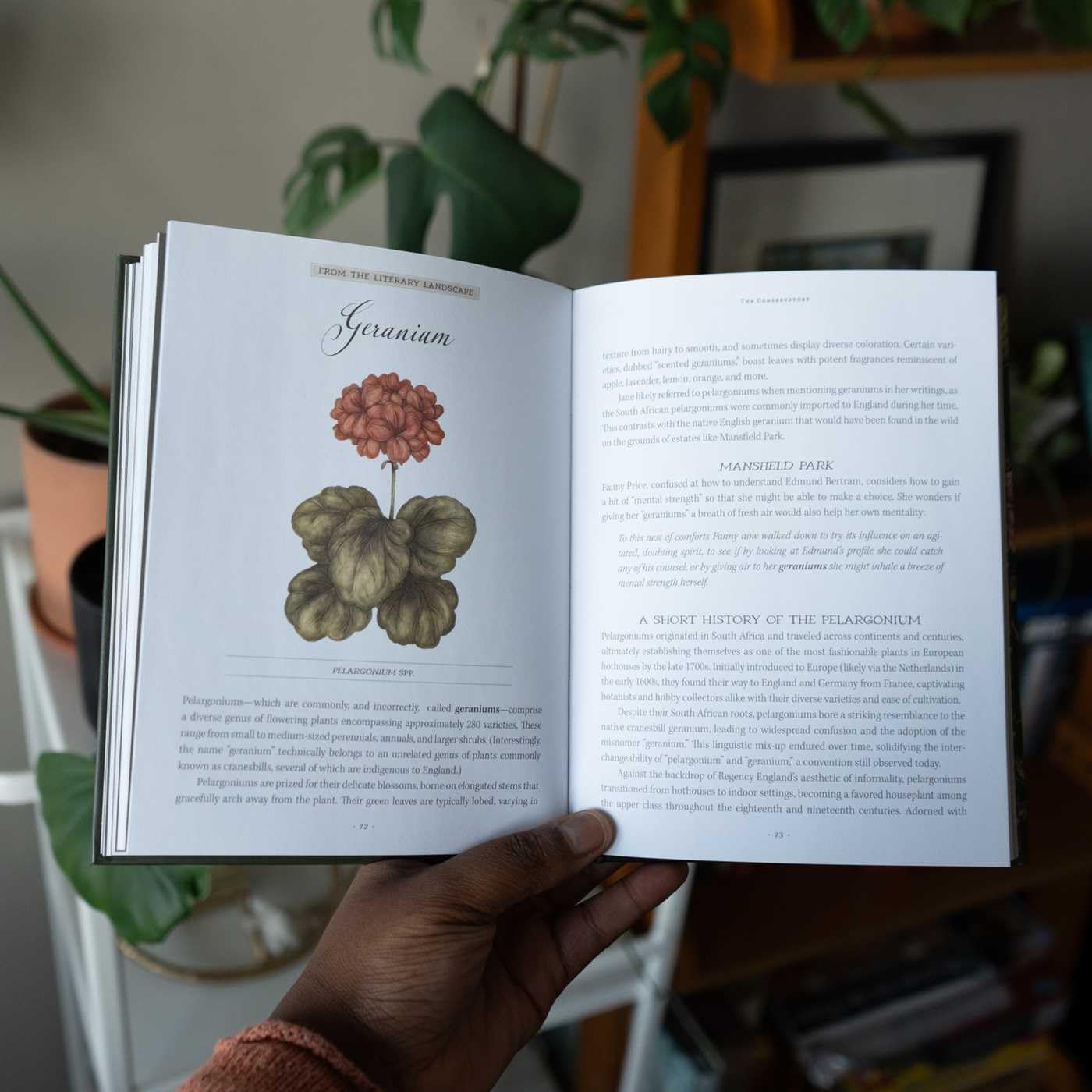 Jane Austen's Garden: A Botanical Tour of the Classic Novels