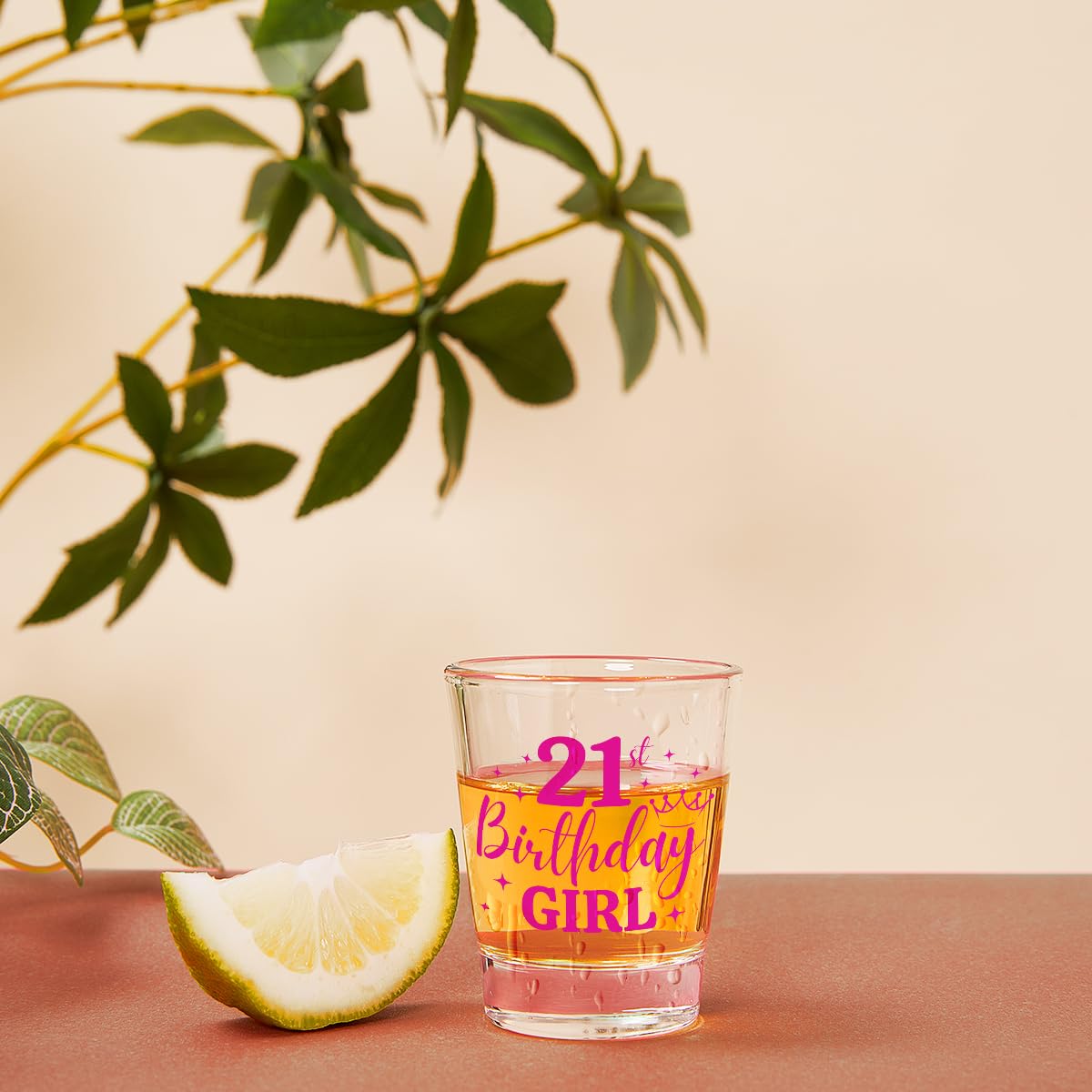 21st Birthday Gifts for Her, Happy Birthday Gift Women, Gift for 21 Year Old Girls, 2005 Happy 21st Birthday Shot Glass, Twenty One Birthday Shot Glass, 21 Birthday Decorations for Women Girls