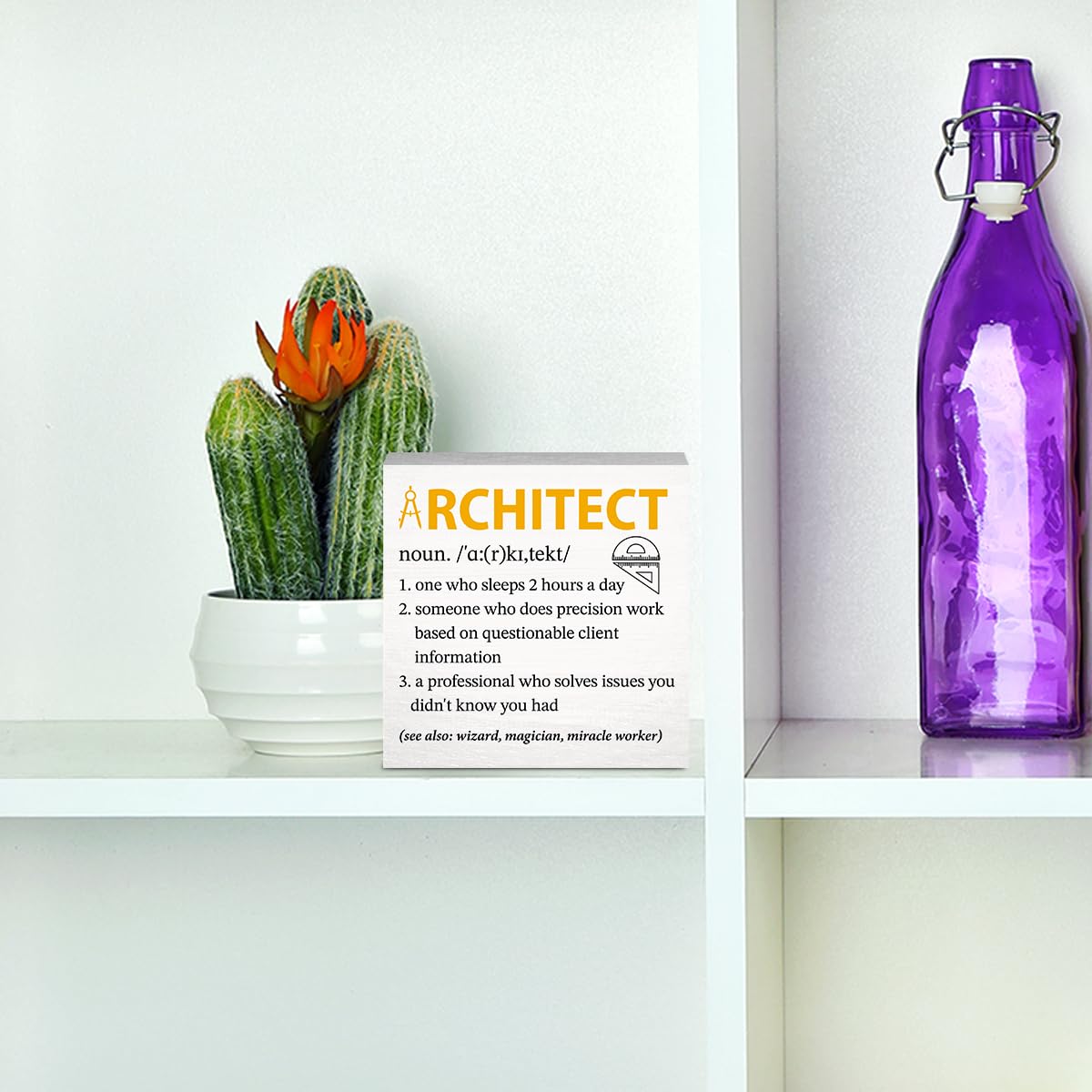 Appreciation Gift for Architect, Architect Gifts for Men Women, Funny Architecture Architectural Engineering Gifts, Living Room Bathroom Bedroom Shelf Desk Decor 5 X 5 Inch
