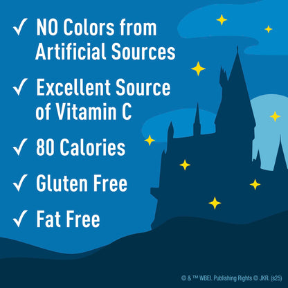 Harry Potter Fruit Flavored Snacks, Fat Free and Gluten Free Snacks, 17.6 oz (22 Pouches)