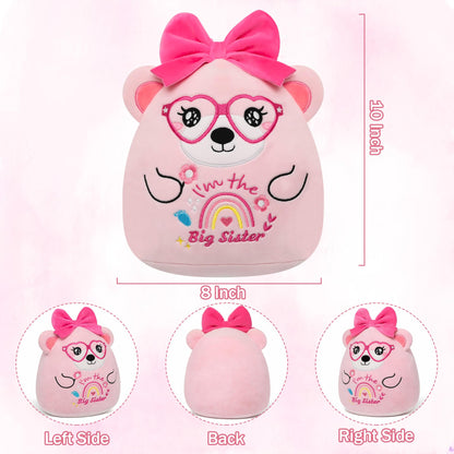 Big Sister Gifts Bear Plush - Cute "I'm the Big Sister" Plush Bear with Big Bow Heart Glasses Rainbow Embroidery Toy Sister Gift for Girl Sibling Kid’s Birthday Baby Shower Bear Gift for Toddler 10in