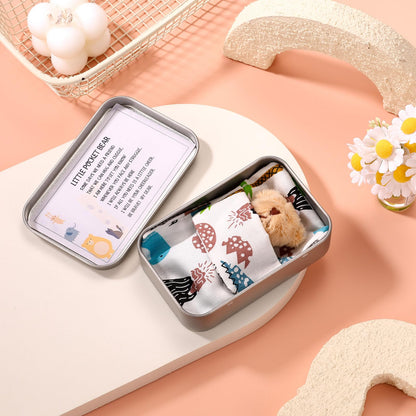 TOYMIS Little Pocket Bear Set, Adorable Mini Plush Bears with Inspirational Card Sleeping Blanket & Iron Box for Friends Encouragement Party Favor (Khaki Bear & Blue Sleeping Blanket)
