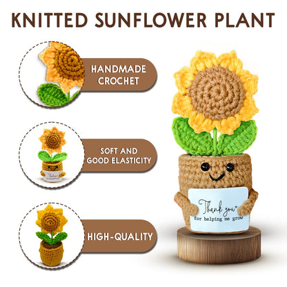 Mini Sunflower Teacher Appreciation Gifts, Thank You Gift for Teacher Boss Manager, Handmade Crochet Positive Plant with Card, Cute Small Desk Decor, End of School Year Christmas Graduation Present