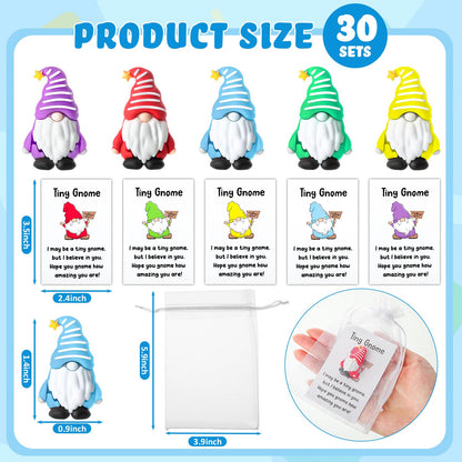 30 Sets Good Luck Gifts Bulk Include Mini Gnomes Figurines Blessing Cards Pocket Favors for Gift Stuffers Fillers to Hide and See Decor in Yard Landscape Indoor Fairy Garden DIY Crafts(Standing)