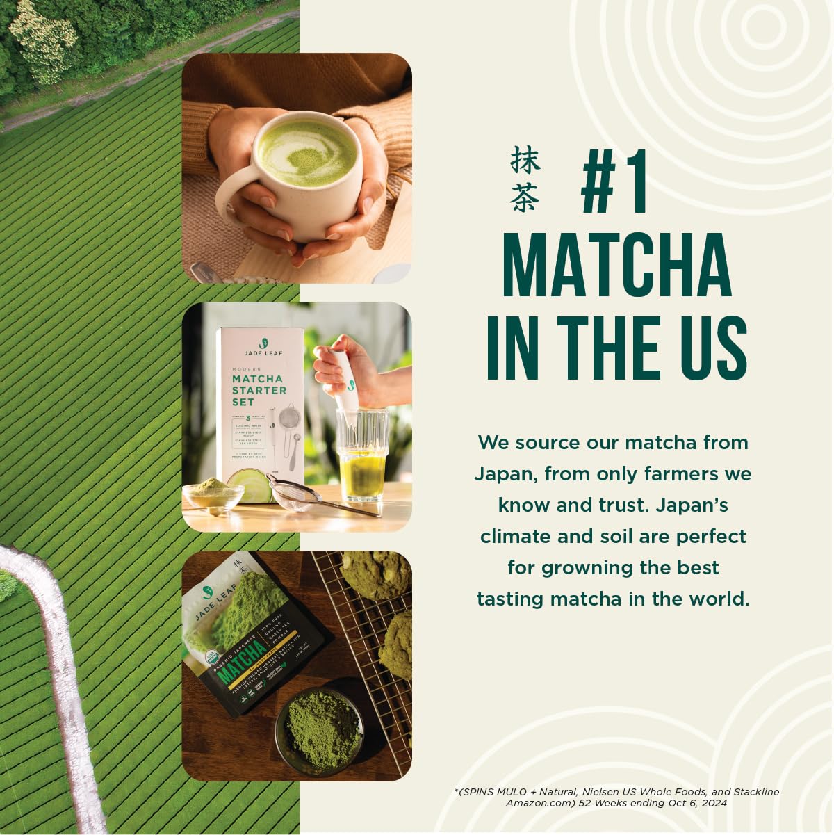 Jade Leaf Matcha Organic Strawberry Matcha Latte Mix - Lightly Sweet Japanese Matcha Green Tea Powder with Organic Cane Sugar for Café Style Blend, 5.3 Ounce / 150g (Pack of 1)