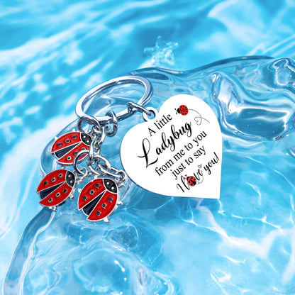 Lady Bugs Keychain Ladybug Gifts For Women Romantic i Love You Gifts For Her Birthday Anniversary Valentines Gift For Girlfriend Mini Ladybugs Keychain For Girlfriend Gift For Ladybug Lovers