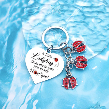 Lady Bugs Keychain Ladybug Gifts For Women Romantic i Love You Gifts For Her Birthday Anniversary Valentines Gift For Girlfriend Mini Ladybugs Keychain For Girlfriend Gift For Ladybug Lovers