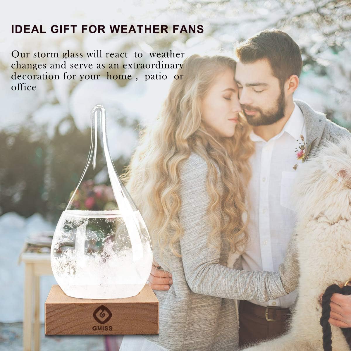 Storm Glass Weather Predictor - Drop-Shaped Forecast Home/Office Desktop Decoration, Christmas Snow Globe for Family Friends Unique Christmas Gifts, Weather Globe Science Decor
