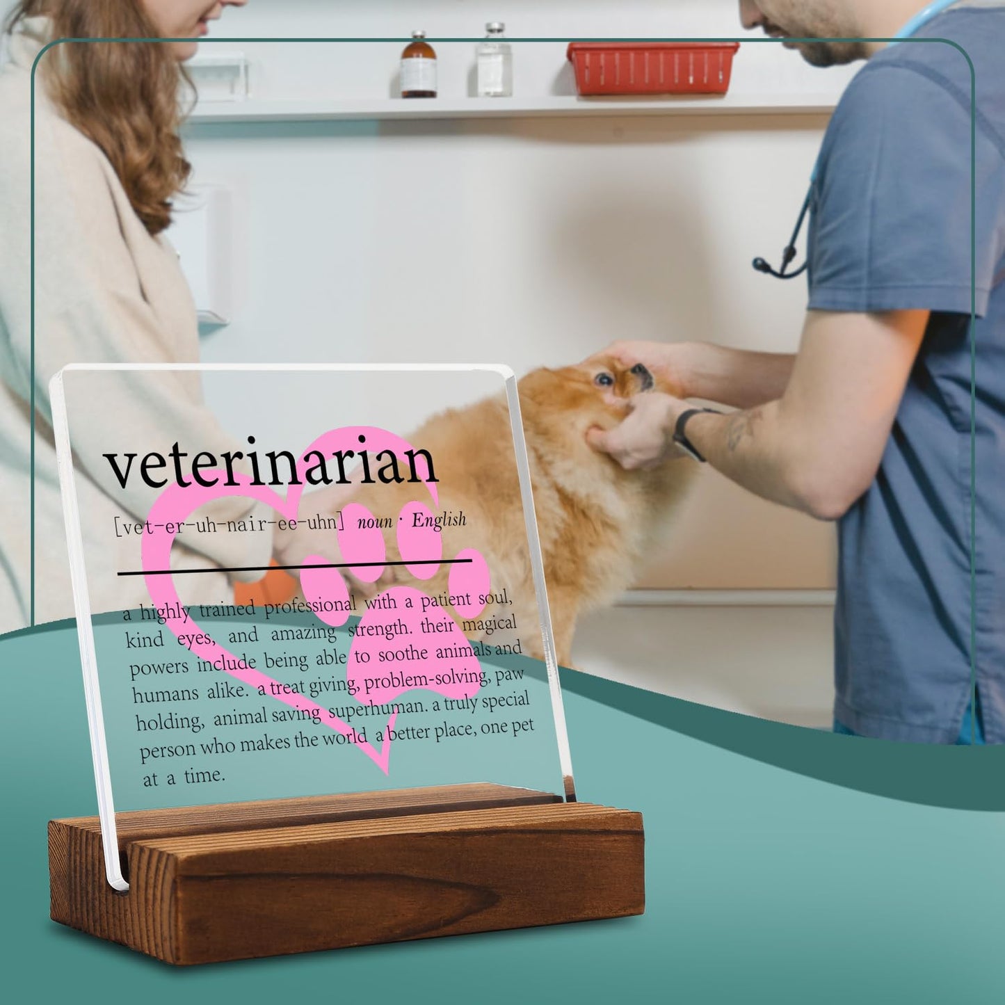 Veterinarian Gift Clear Desk Decor Sign, Appreciation Gifts for Vet Thank You Gift for Veterinary Graduation, Vet Definition Plaque Signs Gifts for Animal Doctor Men Women Office Decor