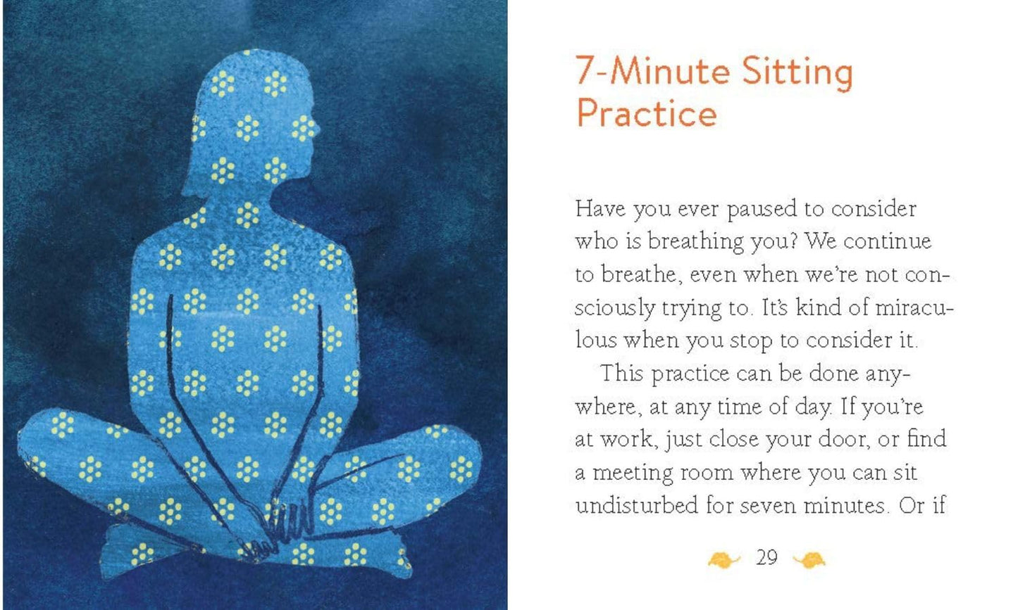 The Mini Book of Mindfulness: Simple Meditation Practices to Help You Live in the Moment (RP Minis)