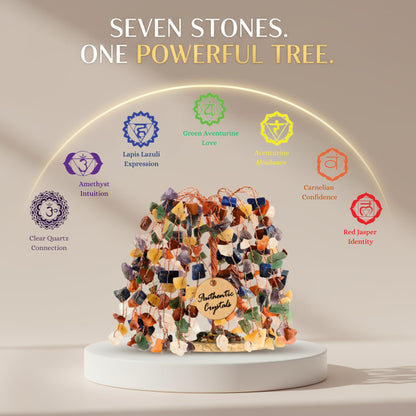 ANAYA AGATE 7 Chakra Tree of Life Crystal Feng Shui Bonsai Tree for Home Decor, Positive Energy, Reiki Healing and Meditation Gift
