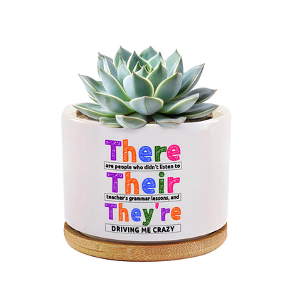 There Their They're Grammar English Teacher Gifts Editors Writers Teacher Appreciation Day Gifts Ceramic Succulent Plant Pot with Bamboo Tray Round Home Office Decor 3.5 Inch White (No Plants)