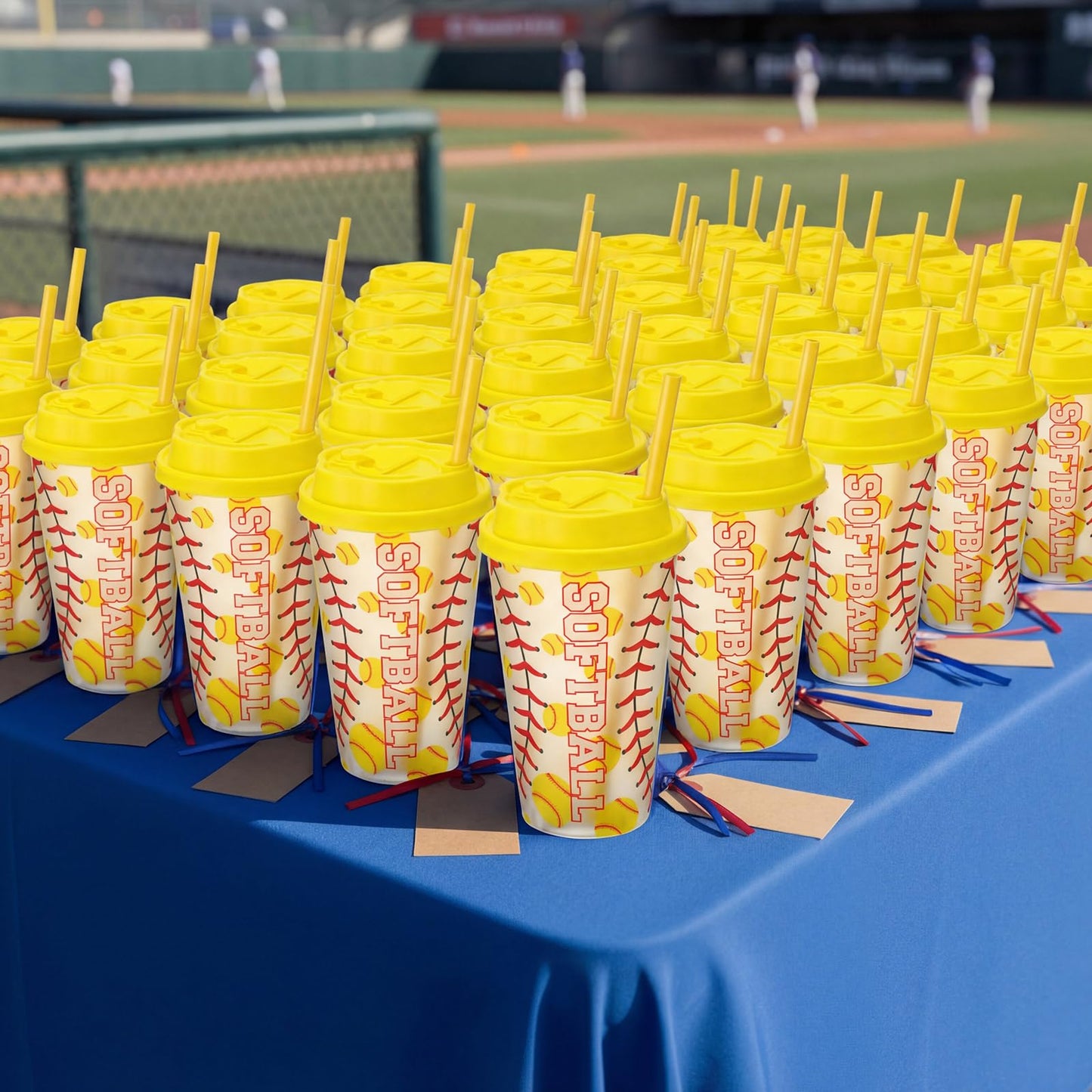 Softball Gifts for Team Includes 25 Pcs Softball Cups with Lids and Straws, Softball Party Favors Supplies 16oz Plastic Party Cups for Softball Party Decorations Birthday Team Gathering