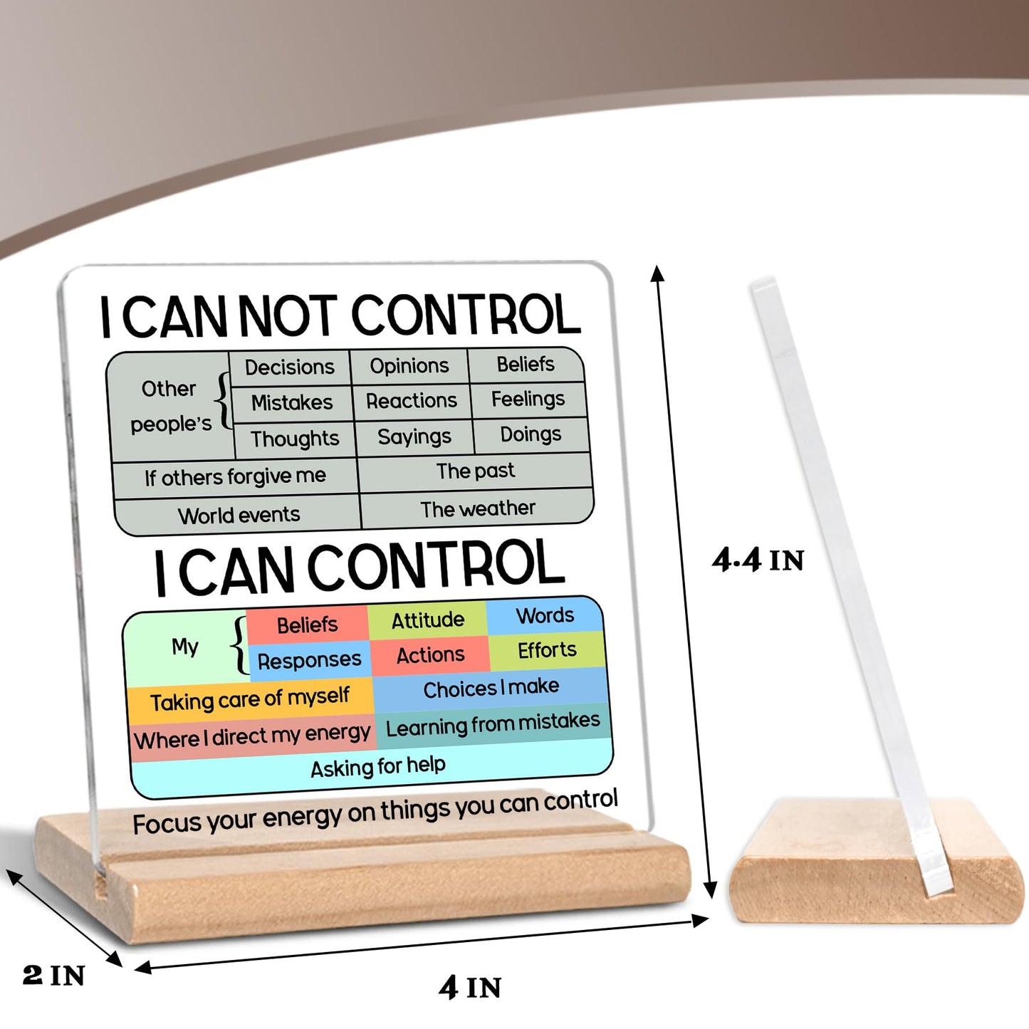 I Can Not Control Psychology Motivational Acrylic Plaque Sign, Mental Health Gifts for Student Graduation, Therapist Office Gifts, Inspirational Gift, School Counselingn Office Home Desk Decor Sign