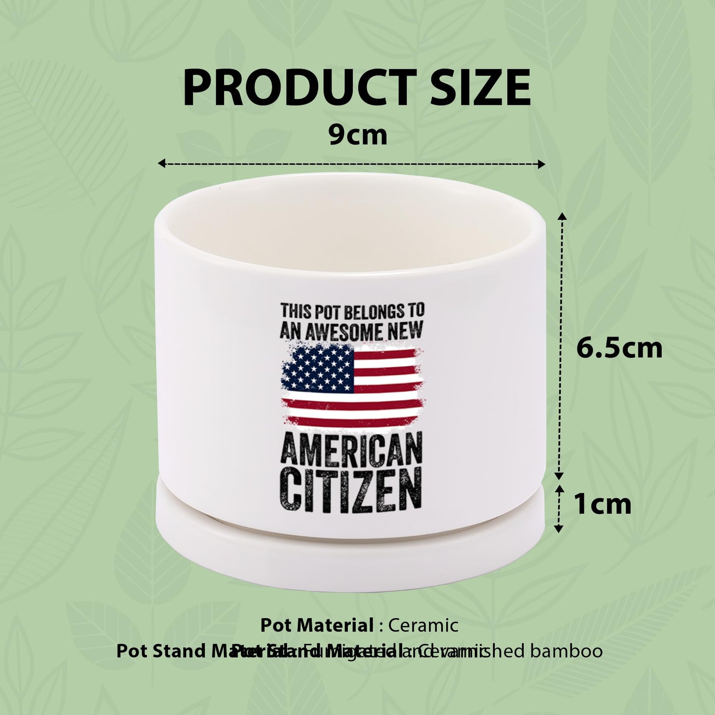 This Pot Belongs to an Awesome New American Citizen Ceramic Succulent Plant Pot with Tray Citizenship Gifts American Flag Plant Lover Gifts Home Decor 3.5 Inch White (No Plants) (With Ceramic Tray)