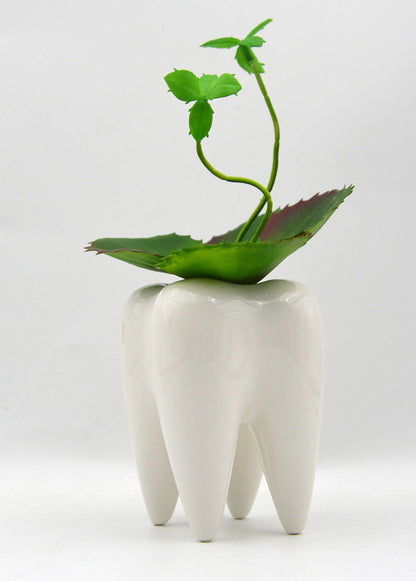 Ceramic Tooth Shaped Pen Pencil Toothbrush Holder Pot Succulent Plant Pot Home Office School Dentists Gift Ideal Gifts for Women, Mom or Birthdays