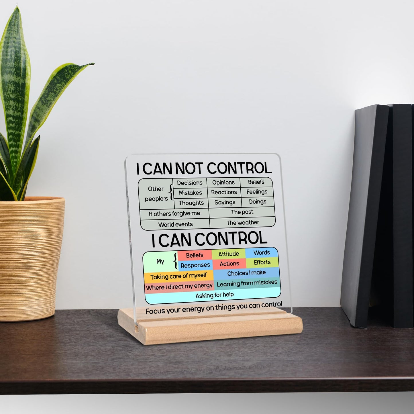 I Can Not Control Psychology Motivational Acrylic Plaque Sign, Mental Health Gifts for Student Graduation, Therapist Office Gifts, Inspirational Gift, School Counselingn Office Home Desk Decor Sign