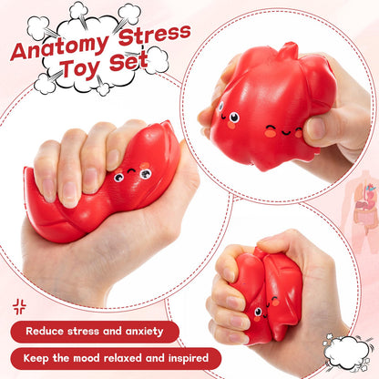 Arrowbash 20 Sets Respiratory Therapist Graduation Gifts Bulk Lung Stress Balls Relief Stress Inspirational Squeeze Balls with Cards for Adults Respiratory Therapy Care Staff Office RT Nursing Work