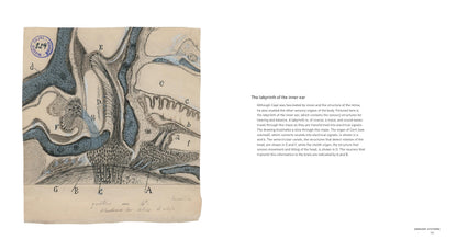 The Beautiful Brain: The Drawings of Santiago Ramon y Cajal