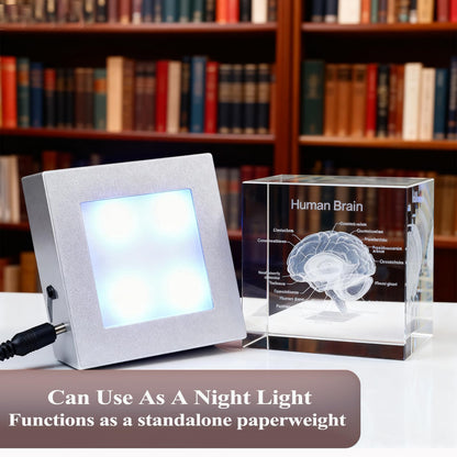 3D Human Brain Anatomy Model, Doctor Psychology Gifts, K9 2.4 Inch Etched Crystal Cube Lamp with Battery Powered, Brain Figure Paperweight Science Biology Graduation Teacher Appreciation Gifts