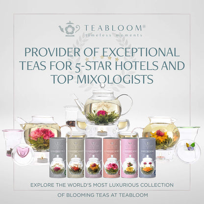 Teabloom Organic Herbal Oasis Pyramid Tea Presentation Box, 12 Assorted Herbal Tea Blends, USDA Certified Organic Whole-Leaf Pyramid Tea Sachets