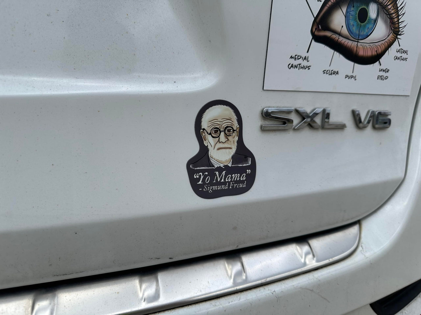 Funny Psychology Magnet, Sigmund Freud Yo Mama Joke, Funny Psychology Gift