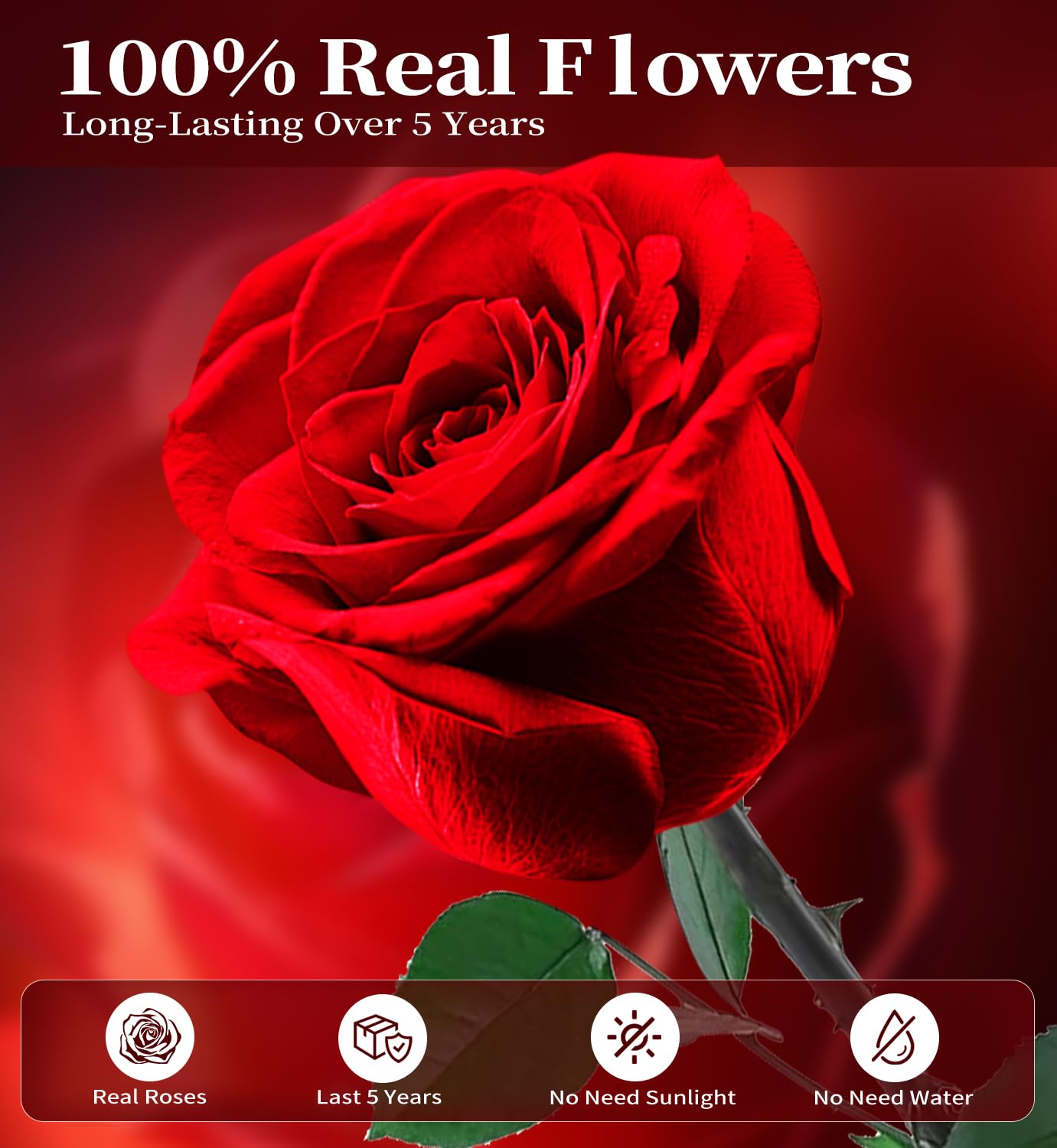 Preserved Flowers for Delivery,Red Rose Bouquets That Last 5 Years,Birthday Flowers Gifts for Women Mom Grandma Wife Friends,Mothers Day Roses Gift,Romantic Floral for Anniversary or Valentine’s Day