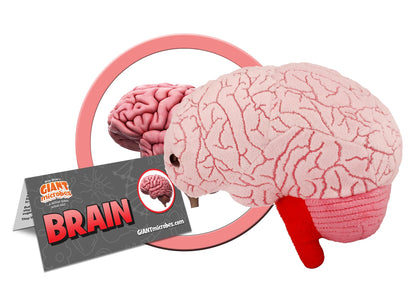 GIANT MICROBES Brain Organ Plush, Brain Model Anatomy, Psychology Gifts for Students, Medical Student Gift, Therapist Office Decor, Anatomy Models, Neuroscience Gifts, Neurology Gift