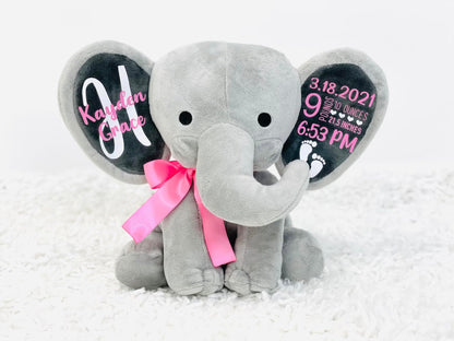 Personalized Keepsake, Stuffed Animal, Newborn, Birth Announcement Stuffed Animal,