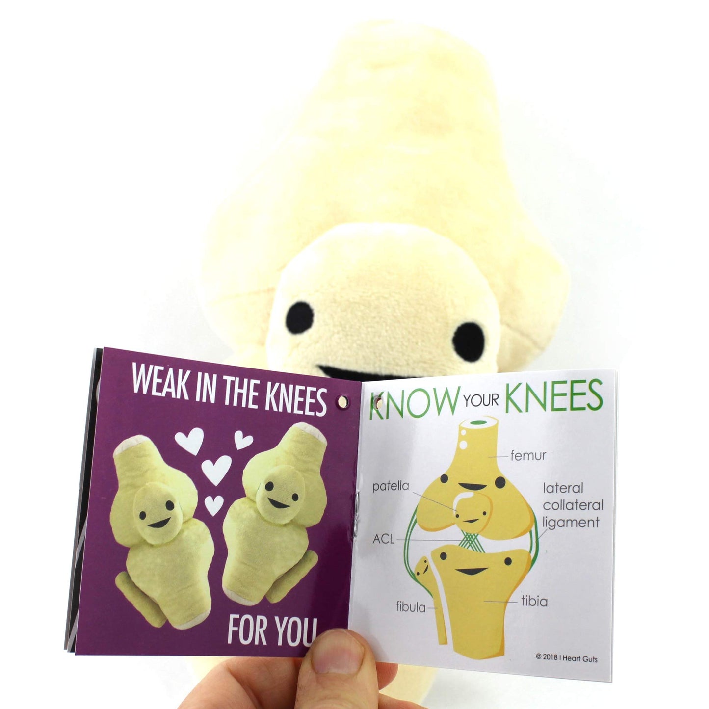 I Heart Guts Knee Joint Plush - 12" Cute Educational Organ Toy for ACL Tears & Knee Replacement - Funny Get Well Recovery Gift for Ortho Nurse Patients Athletes & Medical Student STEM Anatomy Plushie