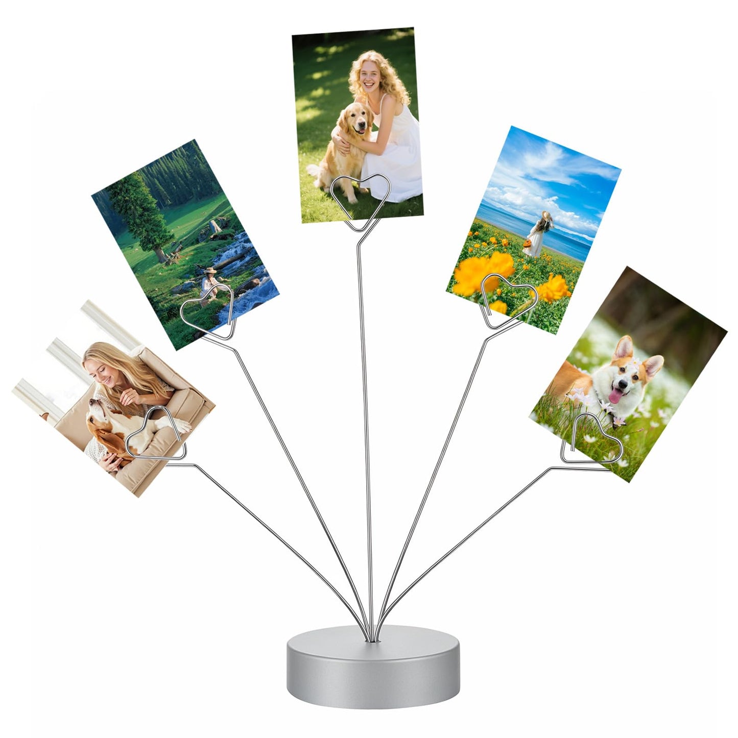 Heart-Shaped Picture Holder Tree, Rund Base Photo Holders for Tables, Gift Card Tree, for Wedding/Party Photo Display, Table Decoration, Shooting Background