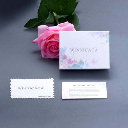 WINNICACA Gifts for Sister from Brother/Sisters Sterling Silver Sister Necklace Graduation Birthday Gifts for Sisters