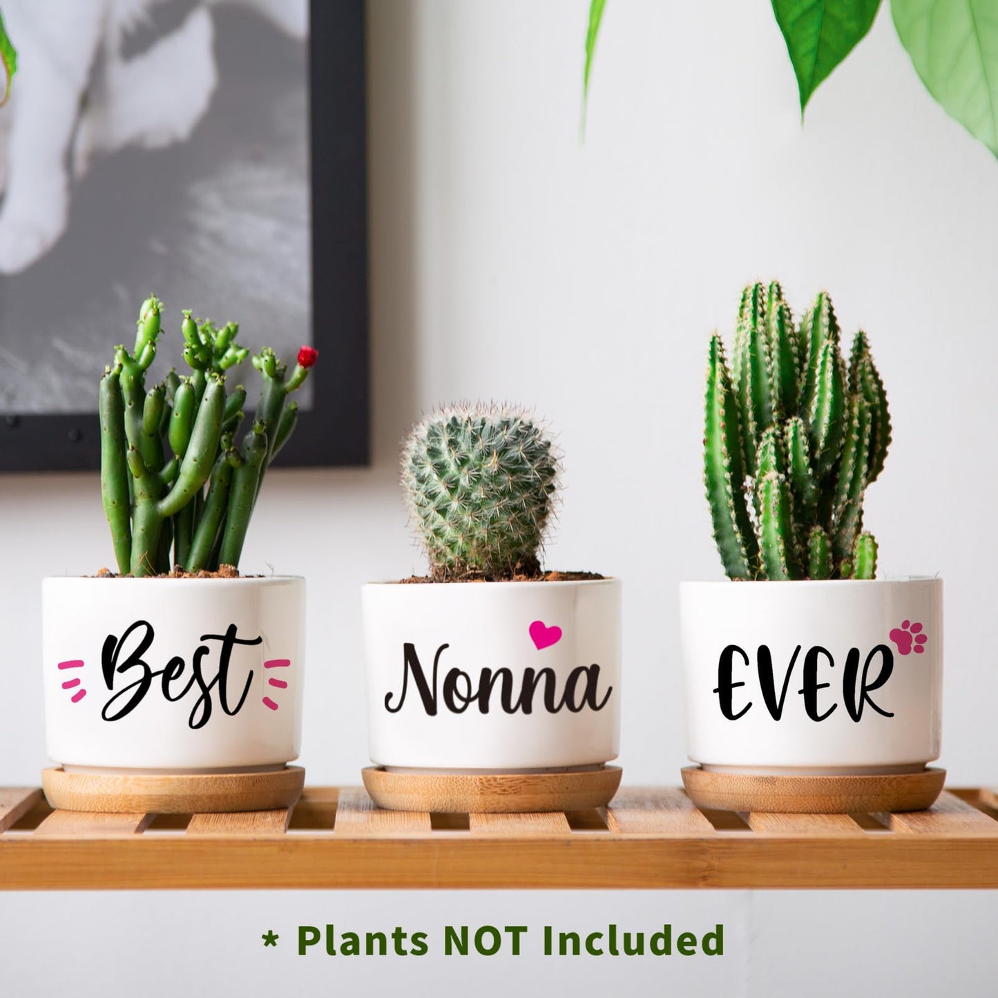 AceThrills Nonna Gifts for Birthday, Nonna for Nonnas from Grandkids, Unique Present on Thanksgiving Christmas - 3 Pcs 3.15" Succulent Pots with Bamboo Tray