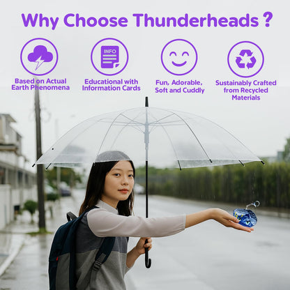 Thunderheads Plush Keychain Weather Educational Plush Bag Charm with Fact Card