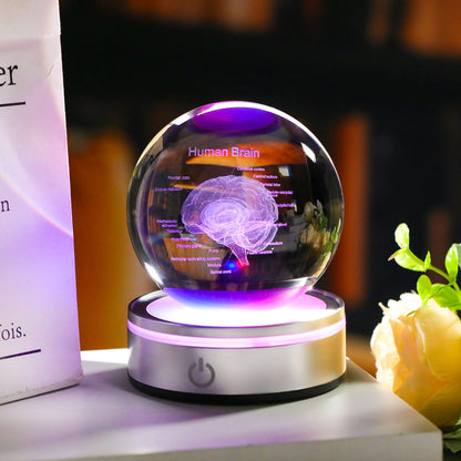Brain Gifts for Neurologist, Laser Ethced Human Brain Anatomical Model 3D Crystal Ball, Brain Surgery Gifts for Doctors, Physiology Graduation Gifts for Medical Students for Christmas
